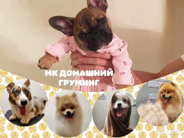 Школа Груминга. Обучение. Курсы