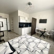 Квартира-студия, 24 м², 17/24 эт.