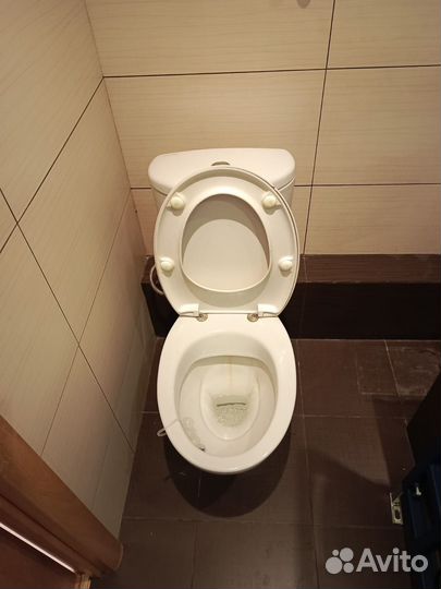 Jacob delafon унитаз бу