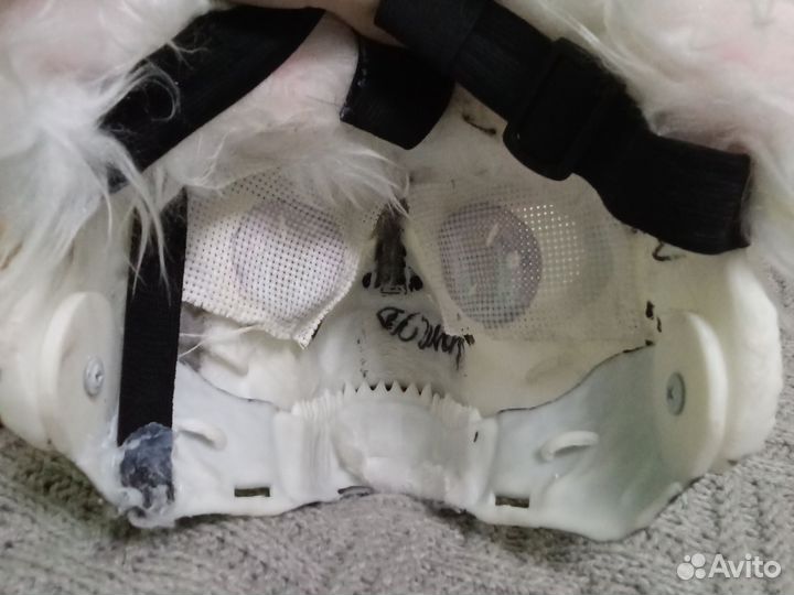 Раптор раптя