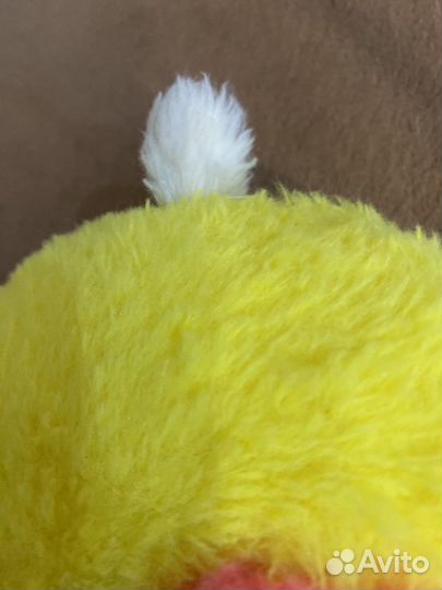 Утка лалафан