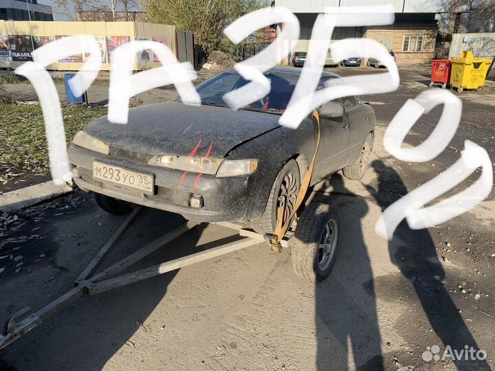 Toyota Corolla ceris