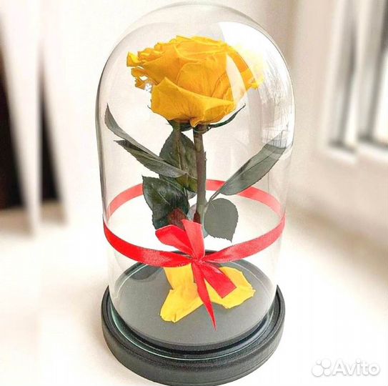 Роза в колбе. Любые размеры