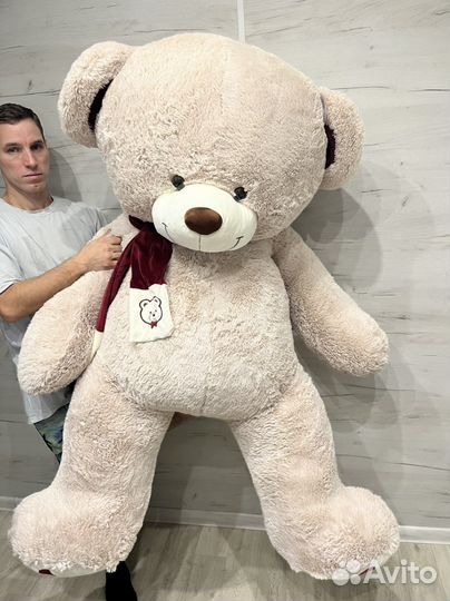 Мишка барри