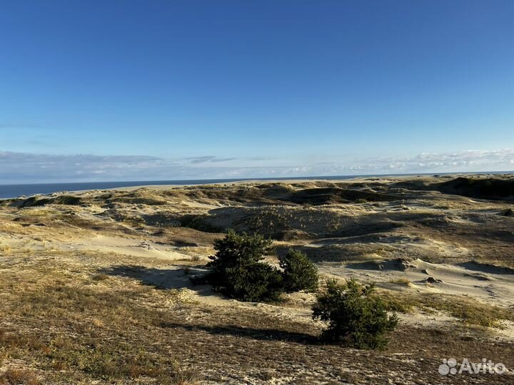 Индивидуальные экскурсии Калининградская область