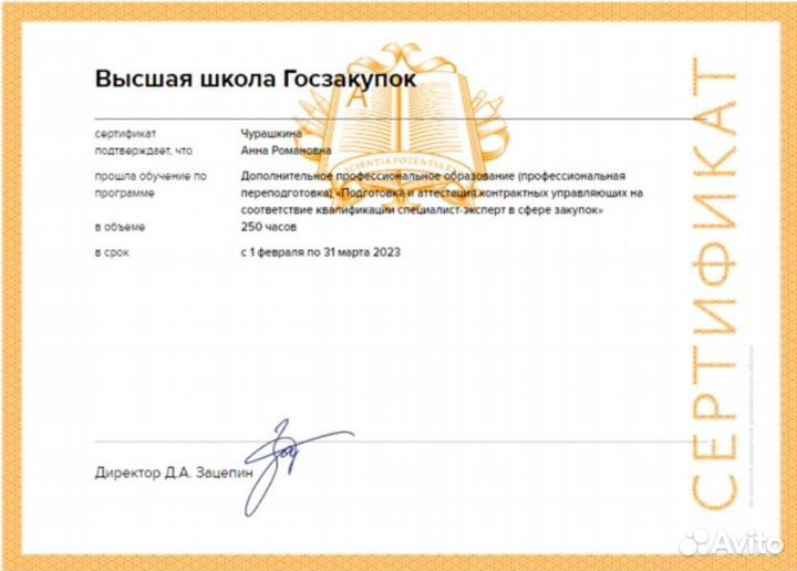 Тендерный специалист (со стороны исполнителя)