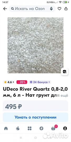 Песок белый.Анциструсы