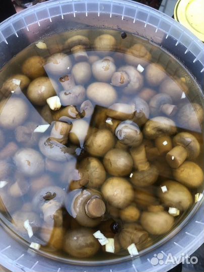 Соленья домашние квашенные