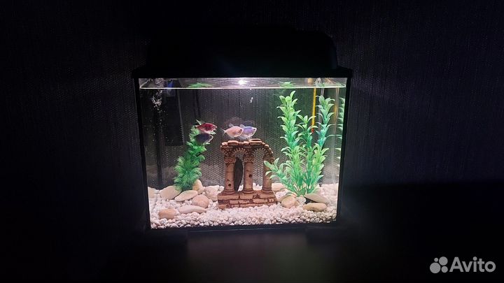 Аквариум 30л