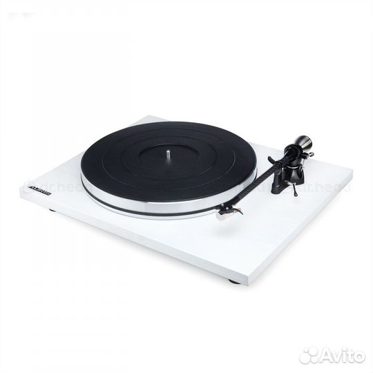 Auris Funky Alaskan White Oak