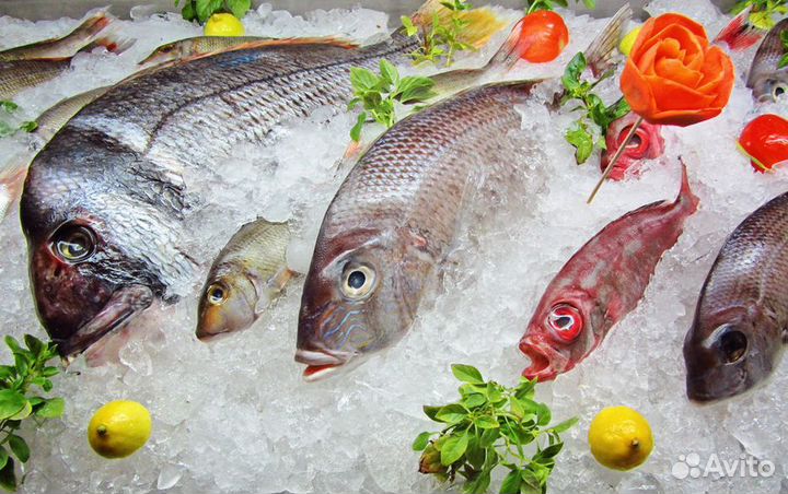 Франшиза: выгодный бизнес продукт