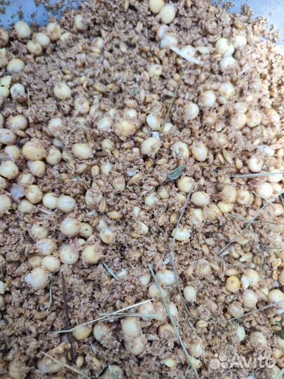 Мясо домашнего бройлера