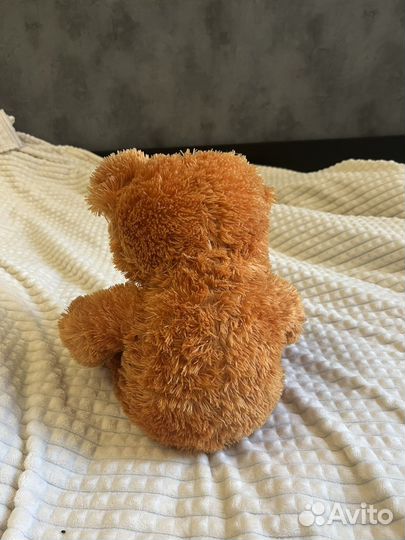 Плюшевый медведь