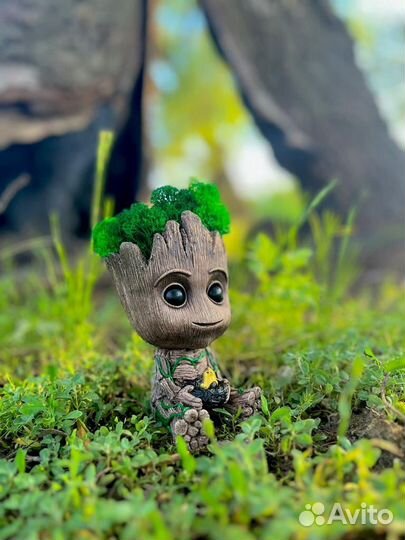 Кашпо грут со стабилизированныс мхом