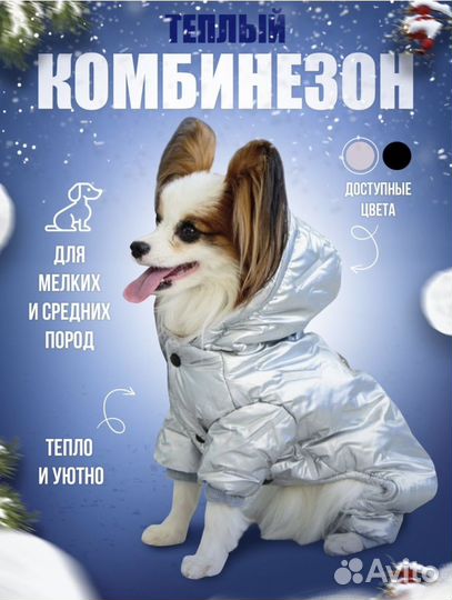 Одежда для собак мелких пород