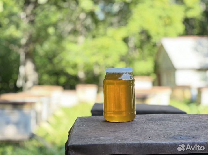 Мед оптом