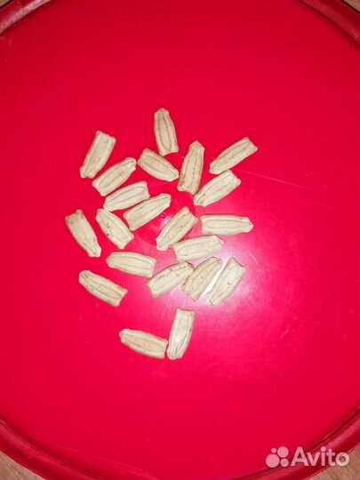 Семена тыквы посудной лагенарии