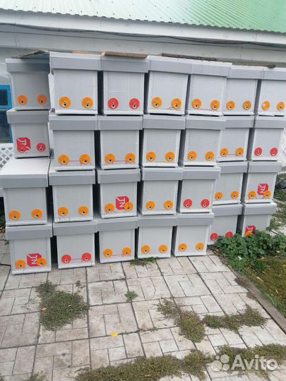 Пчелопакет полистирольный