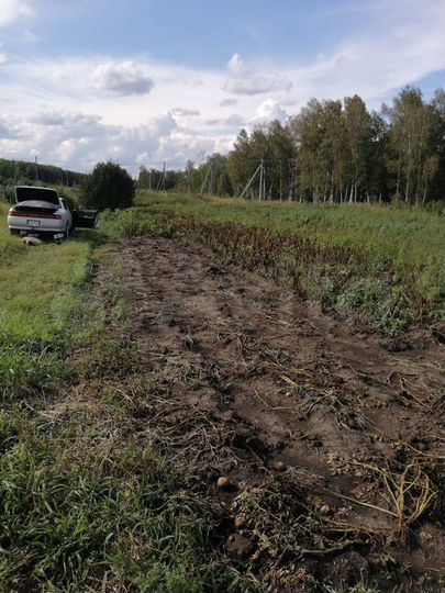 Участок 6 сот. (СНТ, ДНП)