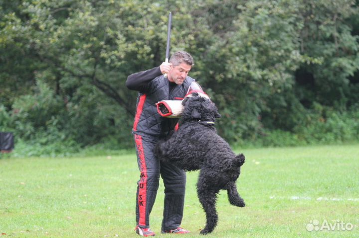 Щенки черного терьера