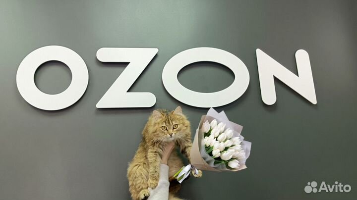 Работа на Пункте выдачи заказов