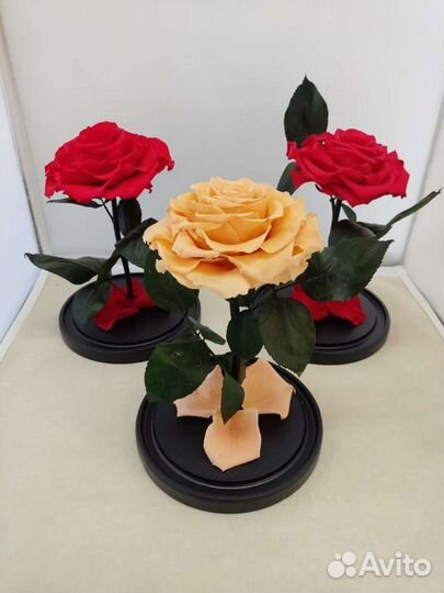 Роза в колбе опт и розница