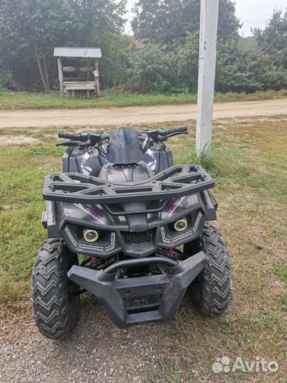 Avantis Hunter Big 200