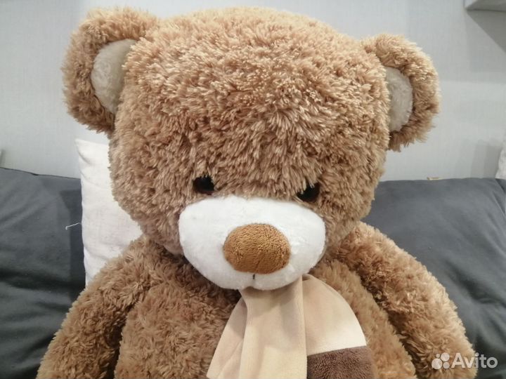 Плюшевый мишка