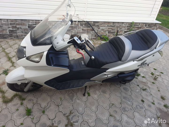 Максискутер