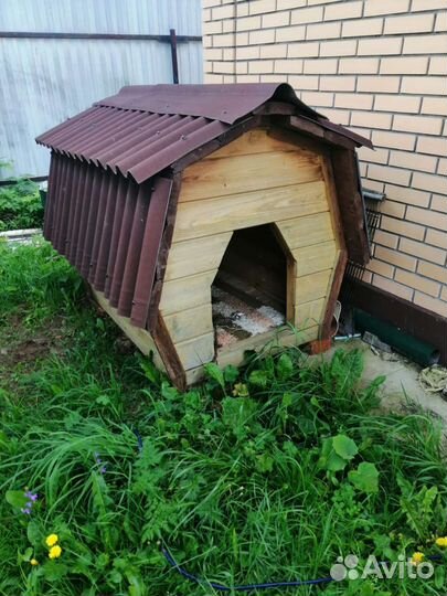 Будка для крупной собаки