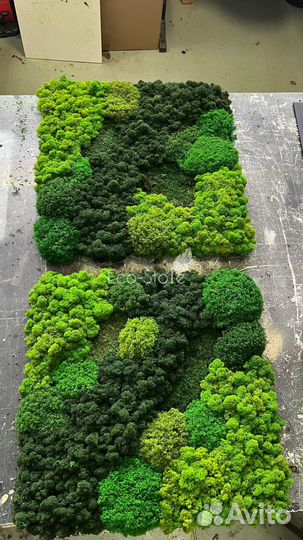 Картина из мха микс зеленых