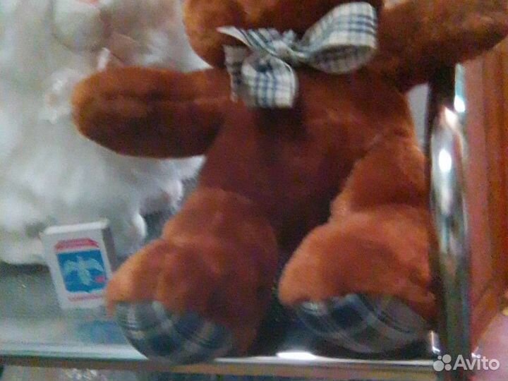 Кот и медведь