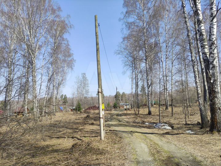 Участок 38 сот. (СНТ, ДНП)