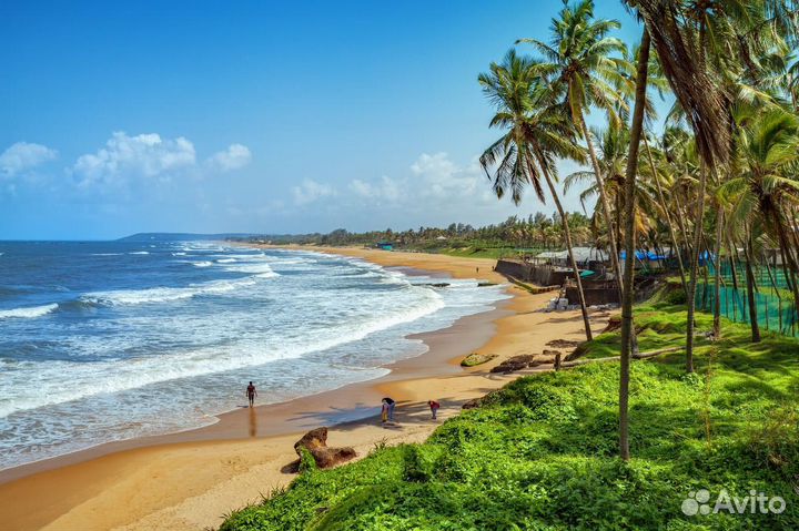 Туры в Индию Гоа горящие в октябре на двоих