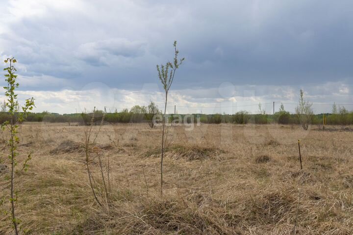 Участок 10,2 сот. (СНТ, ДНП)