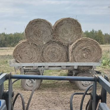 Сено в тюках