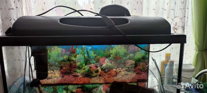Аквариум + рыбки