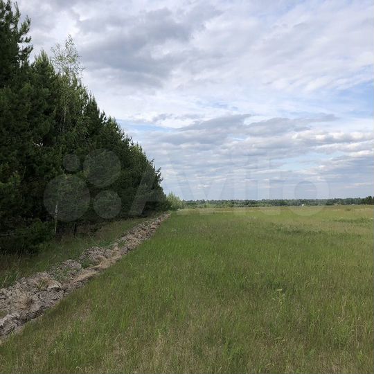 Участок 10 сот. (ИЖС)