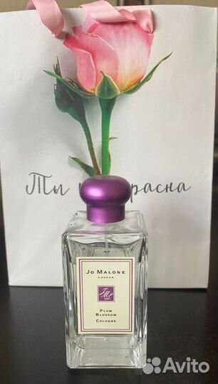 Туалетная вода женская Jo Malone Plum blossom colo