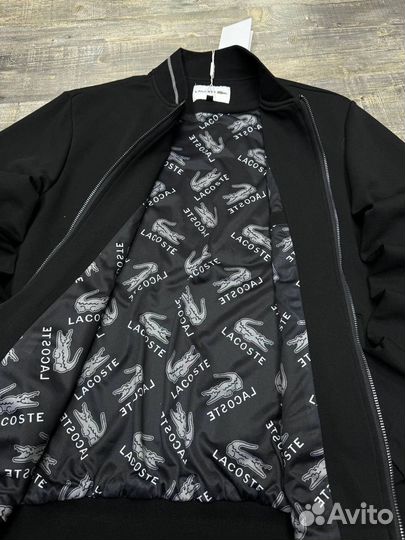 Спортивный костюм мужской Lacoste