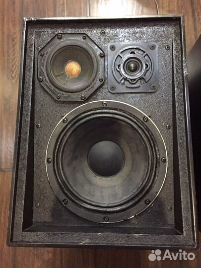 Колонки finlux