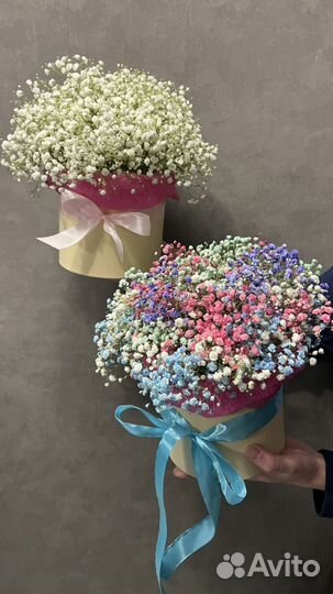 Гипсофила в коробке