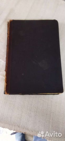 Старинная книга 1895 г. дневник провинциала