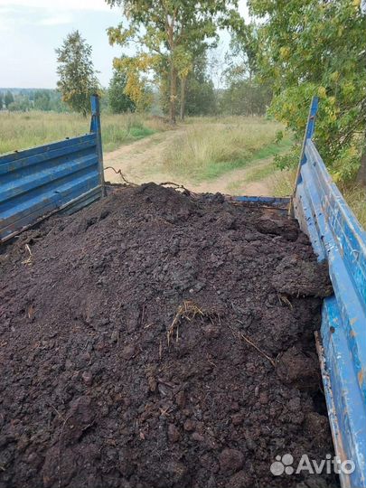 Чернозем,земля плодородн. без медведки и борщевика