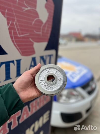 Блины диски для гантель/штанги 1,25 кг