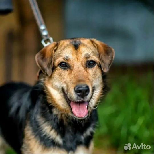 Лана душа компании