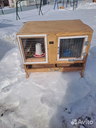 Брудер для цыплят премиум