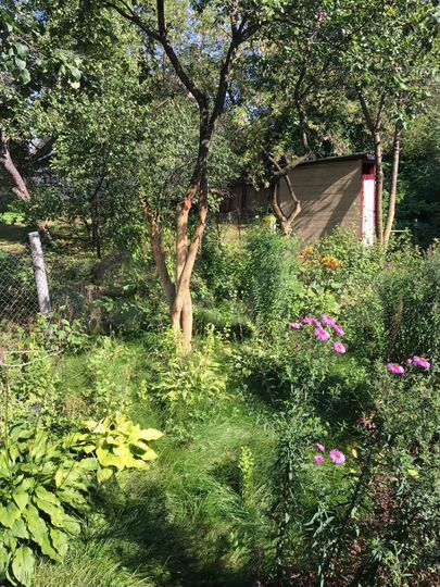 Дом 51,5 м² на участке 4,4 сот.