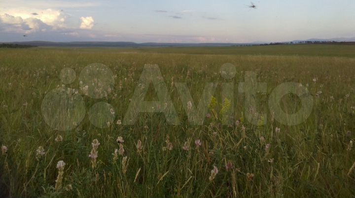 Участок 66 га (СНТ, ДНП)