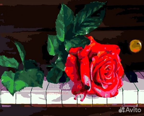 Картина по номерам 40x50 Ярко-красная роза на клав